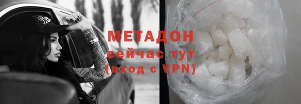 apvp Алзамай