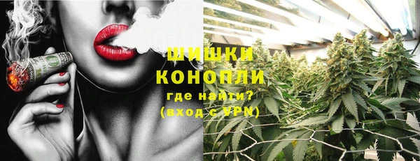 apvp Алзамай