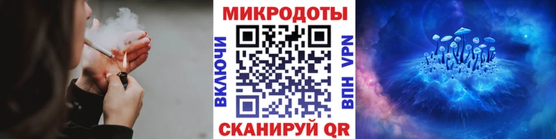 Галлюциногенные грибы Psilocybe Елабуга